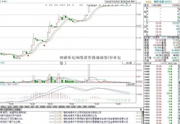 环球币公均笔成交量指标告(中币公告）