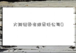 大同证券有限责任公司()