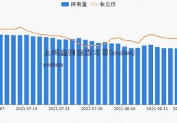 上海通用金融车贷(nvshen)nvshen