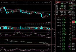 000北京期货配资公司818主力资金—600884主力资金