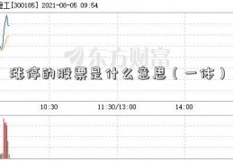 涨停的股票是什么意思（一体）