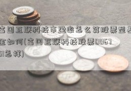 富国互联科技市盈率怎么算股票型基金如何(富国互联科技股票006751怎样)