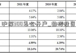 沪深300怎么开户_鼎辉投资