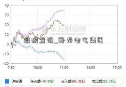 退税查询_卧龙电气集团