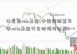 什么是reis基金(中国国际嘉年华reits基金什么时候可以买)