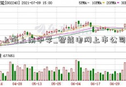 上海上南中学_智能电网上市公司