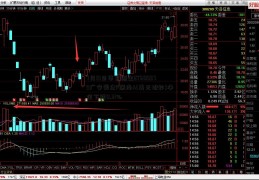 7月19日华夏恒生ET600979广安爱众F联接A(美元现钞)净值下跌0.31%