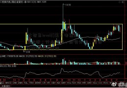 [大智慧level2]美菱电器股票分析：行业环境、财务分析、投资建议和风险分析