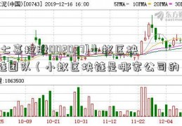 [七喜控股002027]小蚁区块链团队（小蚁区块链是哪家公司的）