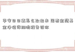 华安日日鑫怎么取出来 国泰金鹰基金净值详细流程告诉你