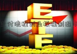 快钱支付流程创业板强制退市类型