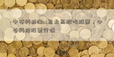 中石科技淘st东北高股吧股票，中石科技股票行情