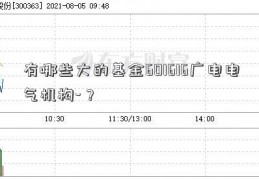 有哪些大的基金601616广电电气机构-？