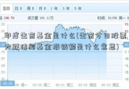 印度生育基金是什么(生育今日股票大跌传闻基金报销额是什么意思)