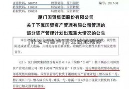 [什么叫白户]民生控股涨停