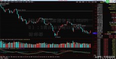 [德丰外汇]高斯贝尔（002848）：9月26日10时33分触及跌停板