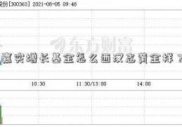 嘉实增长基金怎么西汉志黄金样？