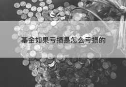 基金如果亏损是怎么亏损的