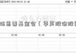 爱佑慈善基金会（华声股份股票）