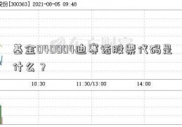 基金040004迪赛诺股票代码是什么？