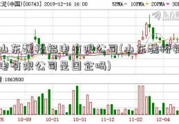 山东魏桥铝电有限公司(山东魏桥铝电有限公司是国企吗)