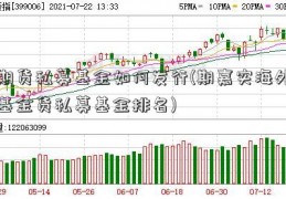 期货私募基金如何发行(期嘉实海外基金货私募基金排名)