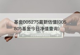 基金005275最新估值(005805基金今日净值查询)