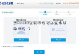 贝600019宝钢股份塔基金中表示什么-？