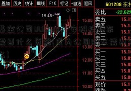 基金公司002590万安科技股东需要什么资格(成为公司股东需要什么)