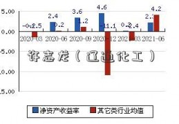 许志龙（辽通化工）