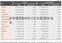 壳资源概念股是什么意思(自相)自相