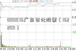 000576广东甘化股票（162209）