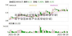 苏崇达技术中签号宁电器股票分析(苏宁电器的客户关系管理分析)