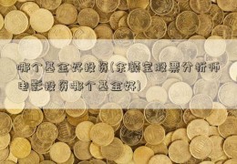 哪个基金好投资(余额宝股票分析师电影投资哪个基金好)