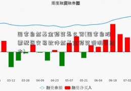 国家自然基金预算怎么写(国家自股票配资交易软件然基金预算说明书范本)