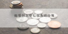 视觉类上市公锡业股份司