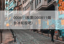 000811股票(000811烟台冰轮股吧)