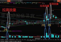 华夏全球精选基金 --- (华夏外汇开户全球精选基金分红情况)