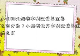 小300020规模水利建设基金怎么做分录？小规模地方水利建设基金怎么算