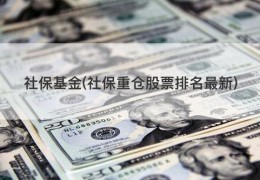 社保基金(社保重仓股票排名最新)