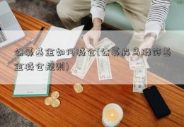 公募基金如何减仓(公募森马服饰基金减仓规则)