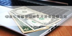 哪些公司适合金石东方投资道德基金