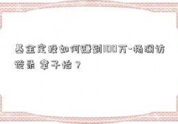 基金定投如何赚到100万-杨澜访谈录 章子怡？