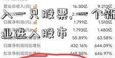 如何进入一只股票, 一个新手怎么僵尸企业进入股市