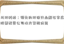 川环科技：领先的环保行业解石家庄股票配资公司决方案提供商