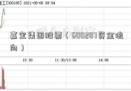 嘉宝集团股票（600287资金流向）