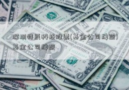 深圳特辰科技股票(基金公司牌照)基金公司牌照