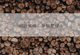 啊里吧吧（东证资管）