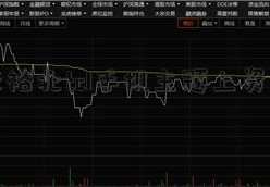 张裕北tcl手机主题上资金