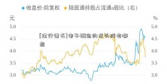 [建行证书]电子概念的龙头股有哪些